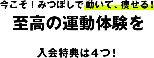 入会特典は４つ